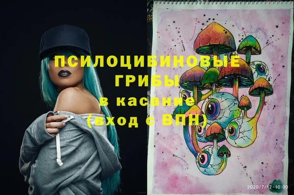 каннабис Белокуриха