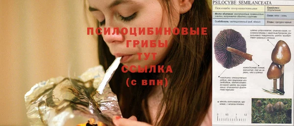 трава Осташков